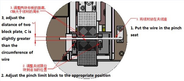 vijugava ilustracija.jpg