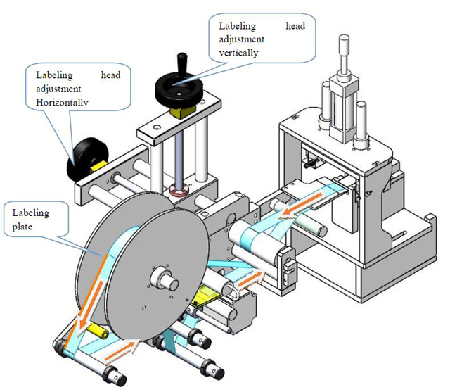 Označavanje glave.jpg